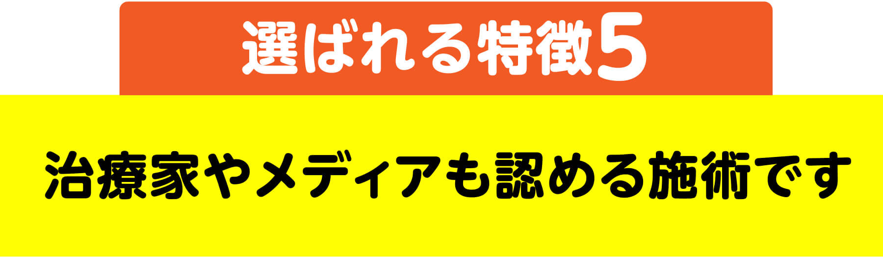 選ばれる特徴5 治療家やメディアも認める施術です